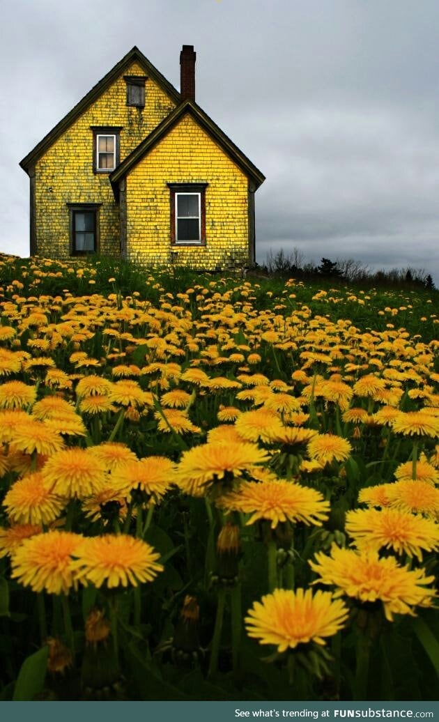 Abandoned house in Nova Scotia