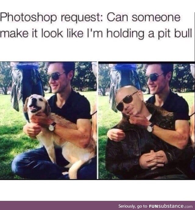 Holding a pittbull
