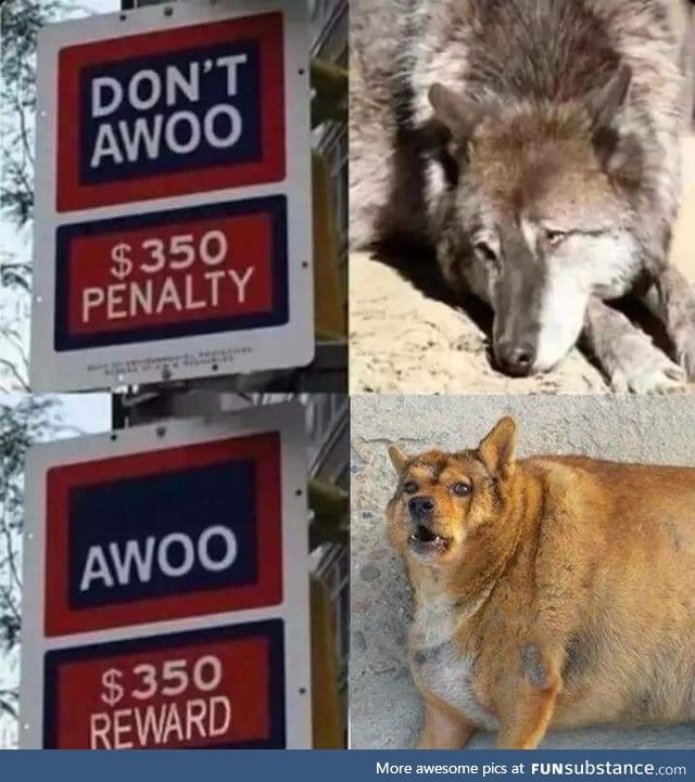 bork