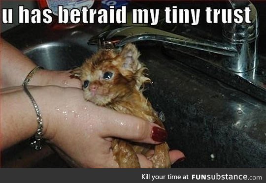 Why human, why?