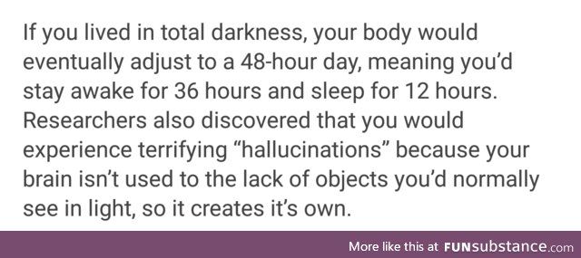 Spooky fun fact