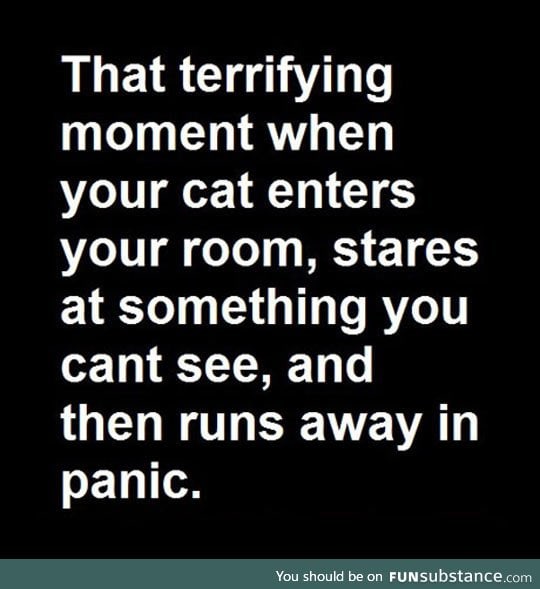 Terrifying moment