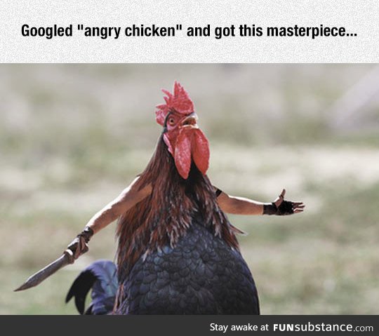 Angry chicken