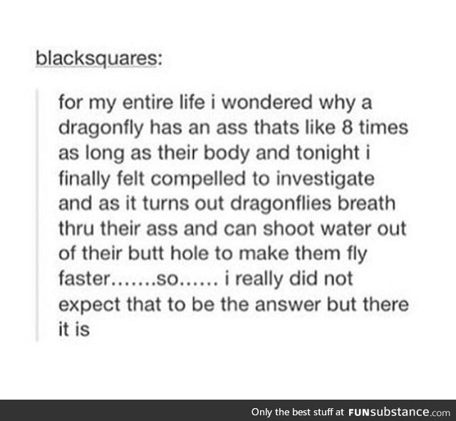 They fly using ass juice wtf