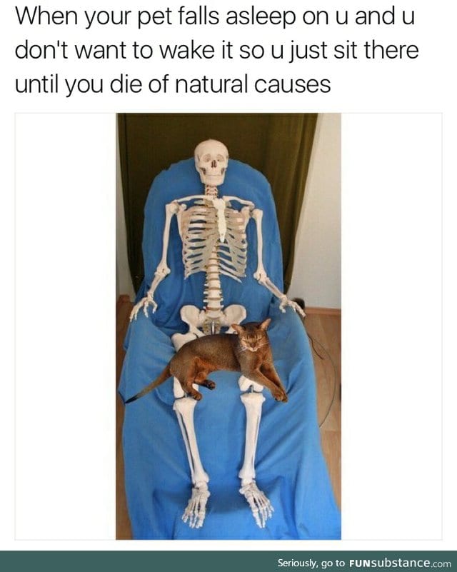 Peaceful way to go