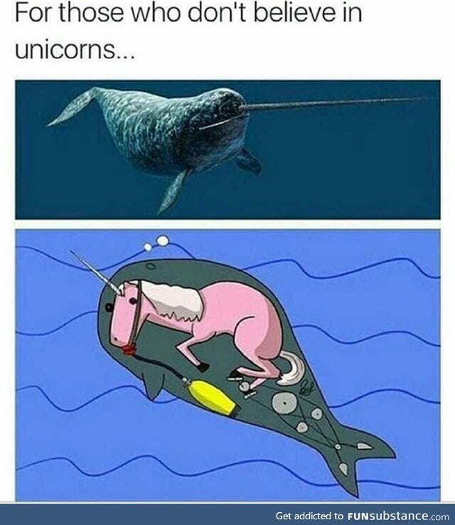 Unicorns are real!