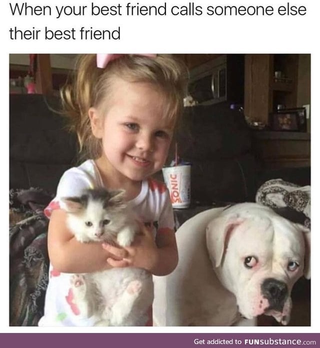 Poor doggo looks so sad!