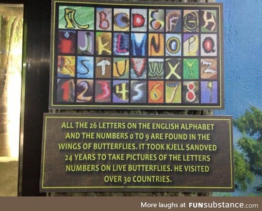 This is mind-blowing: Which came first?