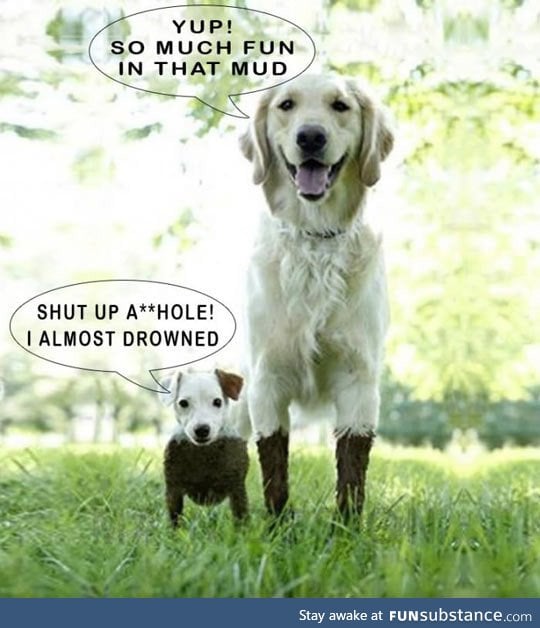Why I dislike being short