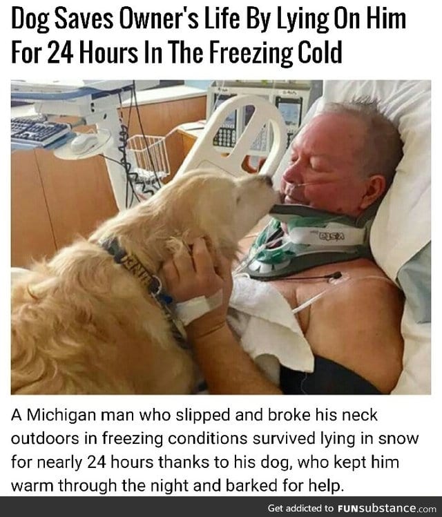 Dog saves life again
