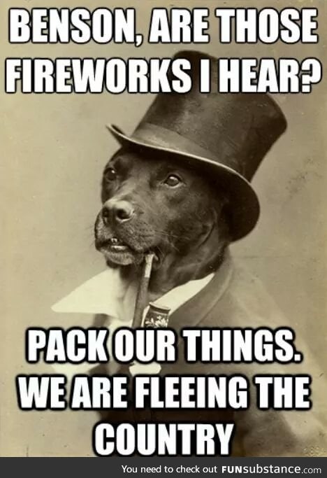 I feel so bad when my dog gets scared by fireworks