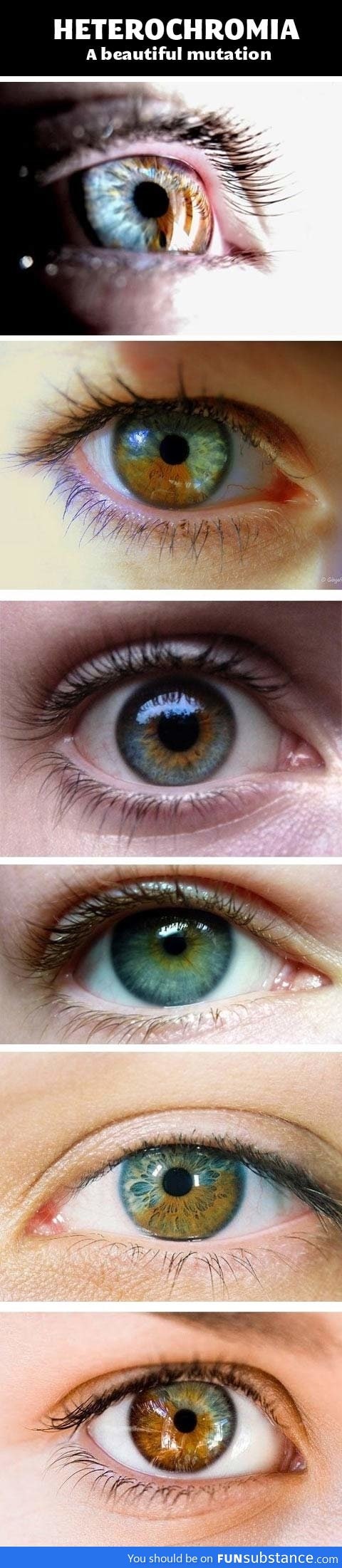 Eye mutation