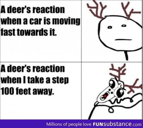 Oh Deer