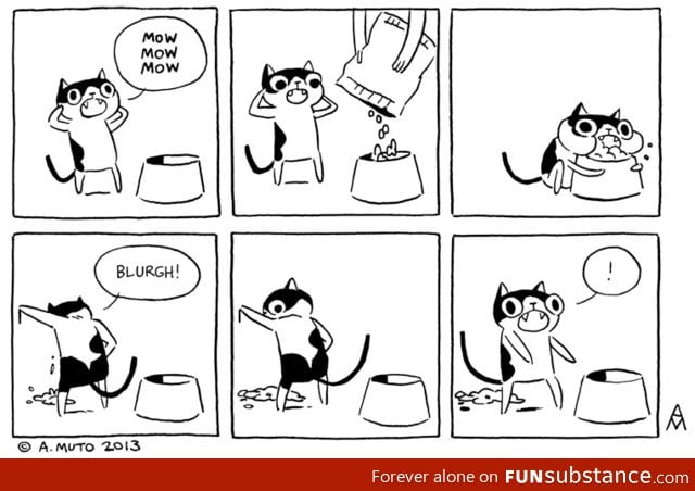 My cat does this every single time