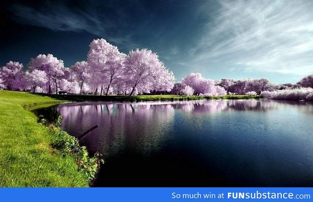 Nature