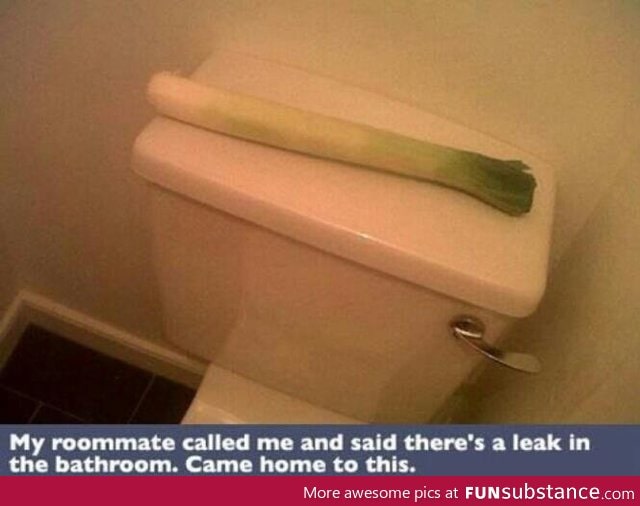 There's a leak in the Bathroom!