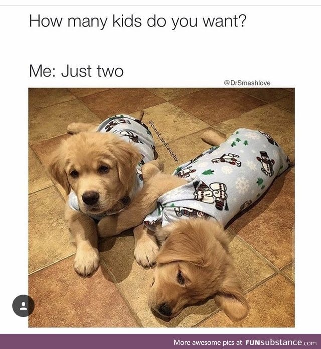 Puppies are better than human babies