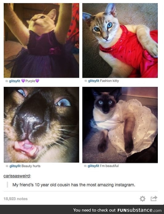 kitty kool
