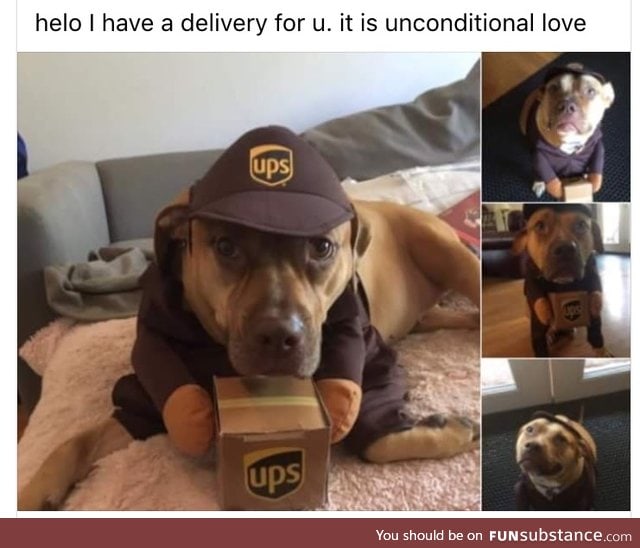 Doggo does a deliver