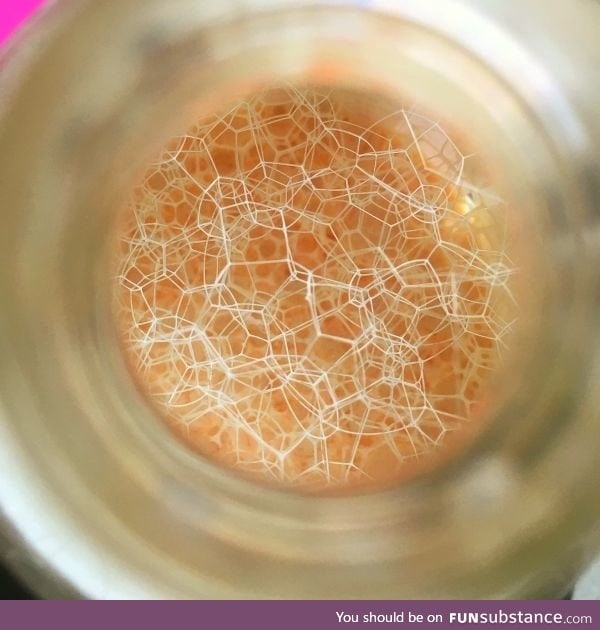 Bubbles seen through the top of the shampoo bottle