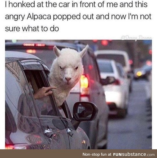 She’s driving responsibly how dare you!