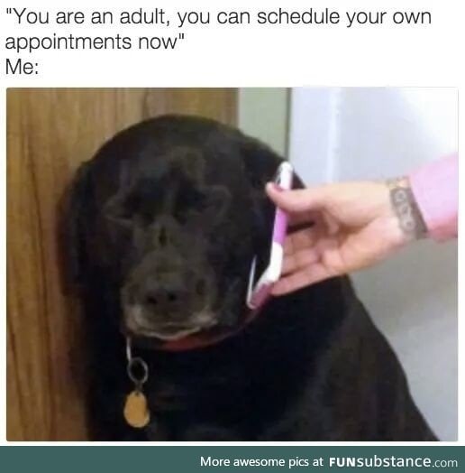Me irl