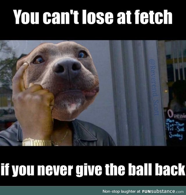 Doggo logic