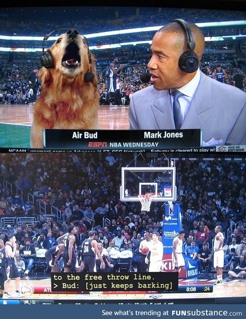 A basketball story