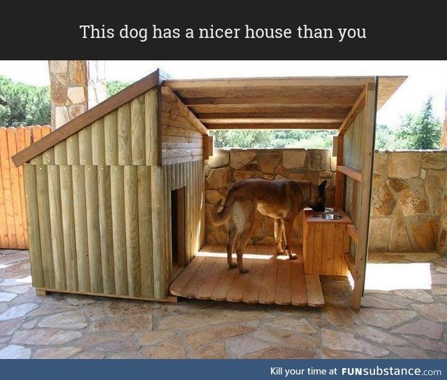 Cozy dog house