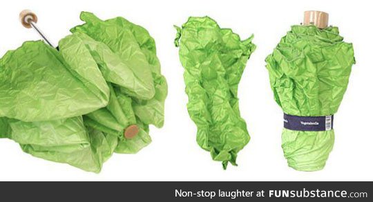 I think I need a lettuce umbrella in my life