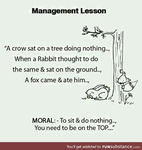 Helpful management lesson