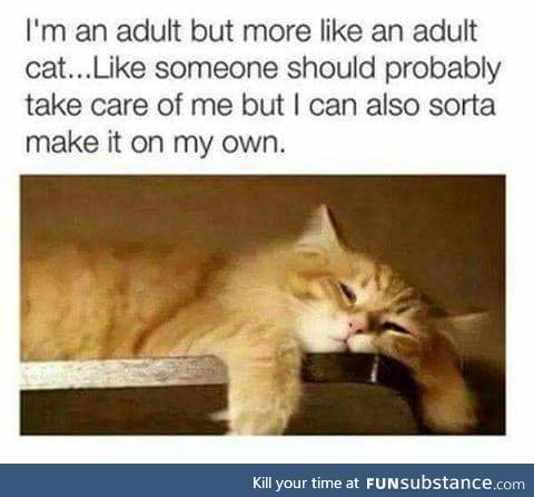 I need help