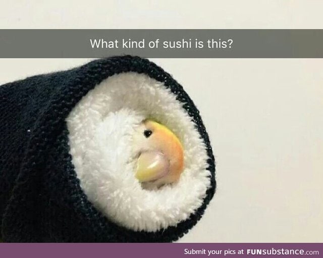 Sushi birb