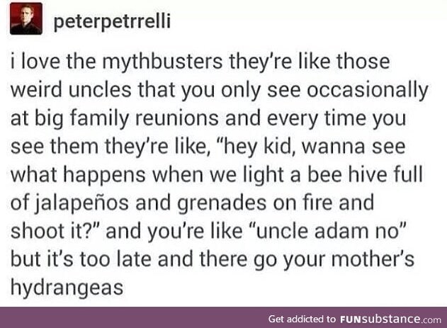 Not the hydrangeas