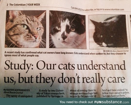 Well, I could have told you that