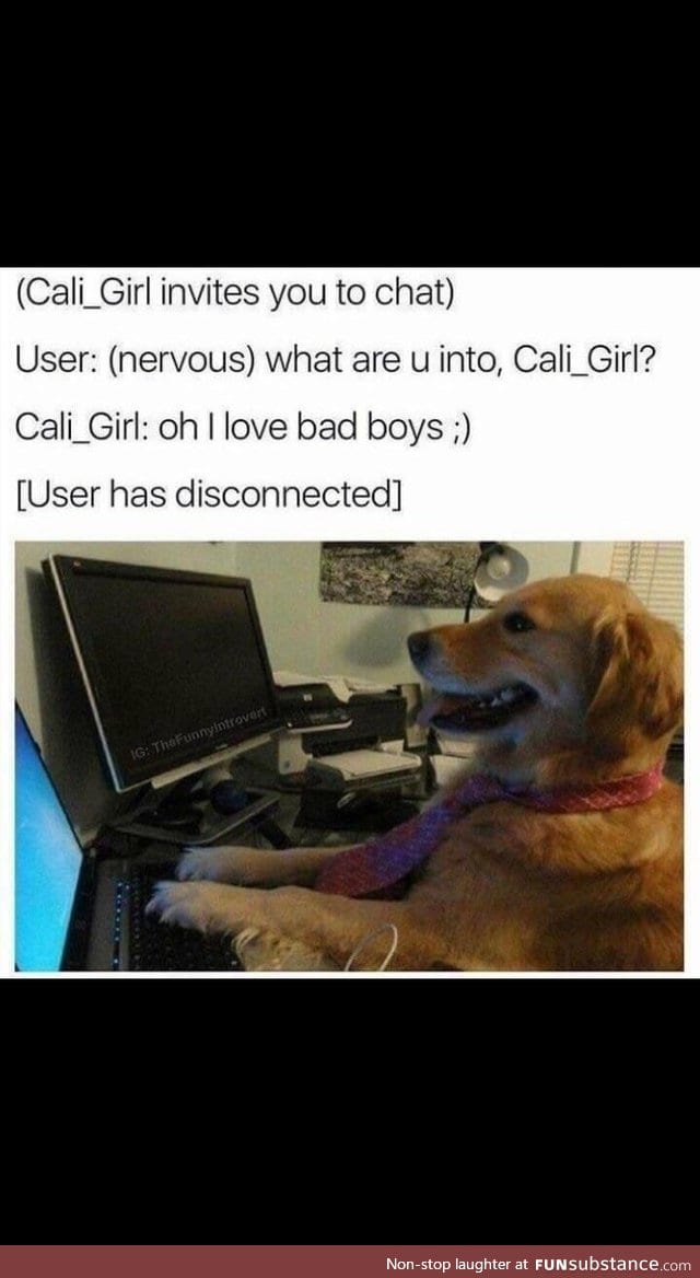 Good doggo