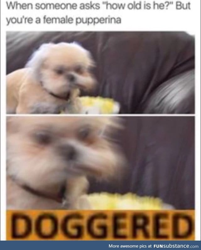Doggered