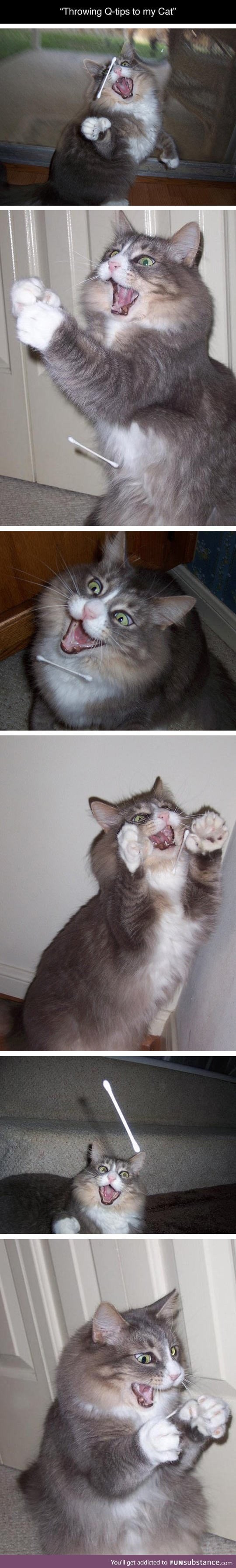 Throwing q-tips to the kitty