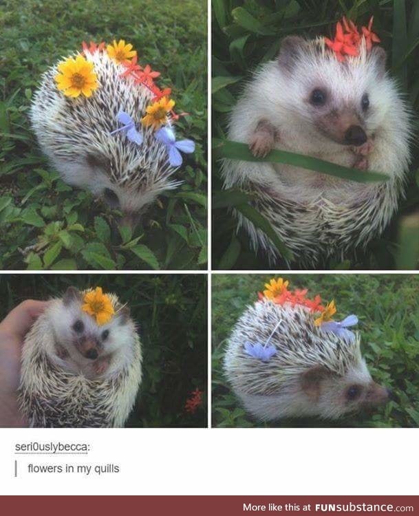 So cute
