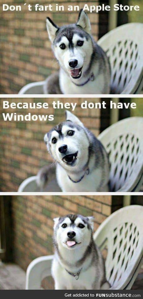 Listen to me now hoomans