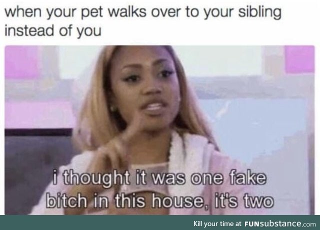 I love my dog except when this happens