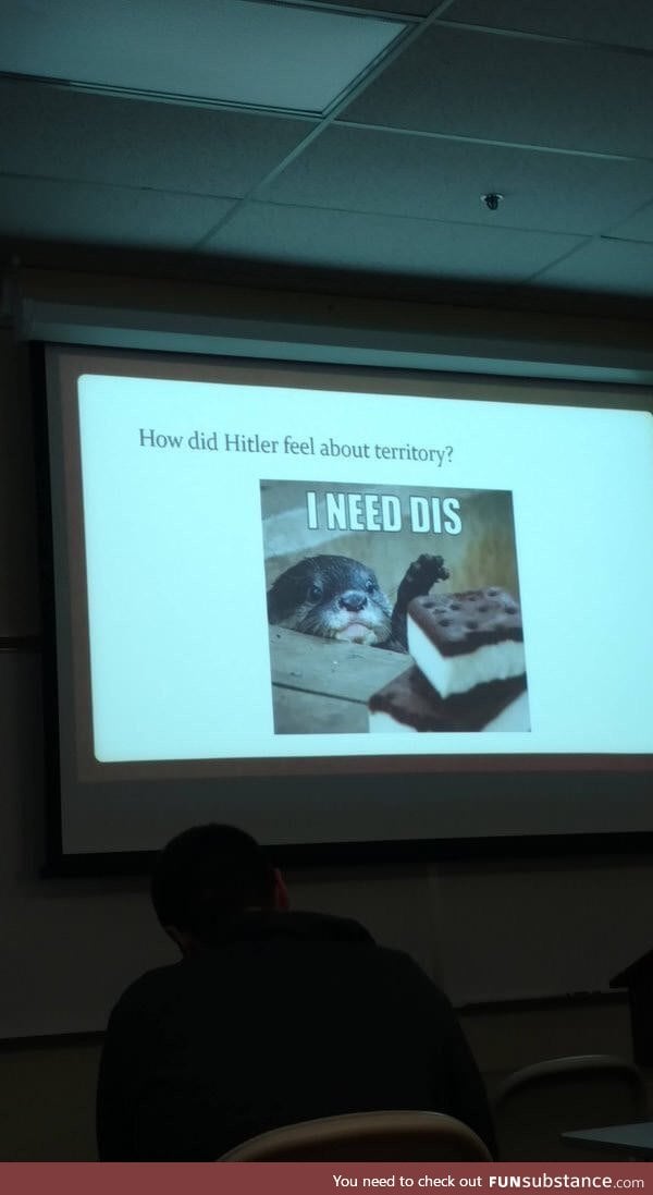 American education system in action