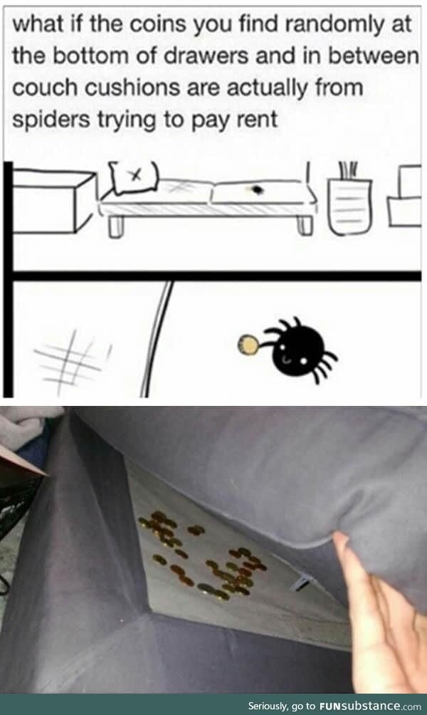 Didn't know spiders were so well mannered