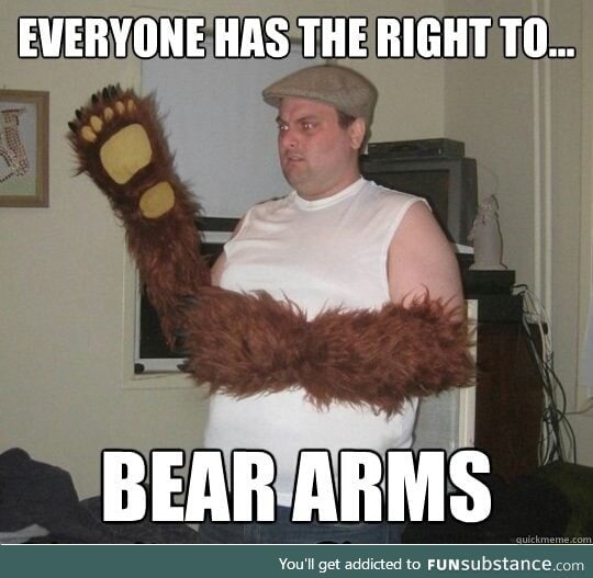 Right to bear arms