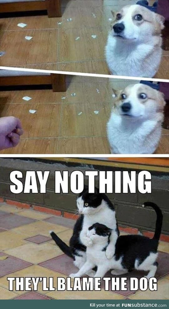 Shh, say nothing