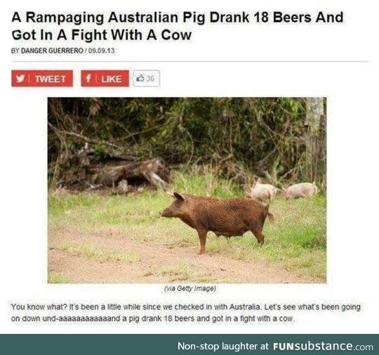 Things that only happen in australia