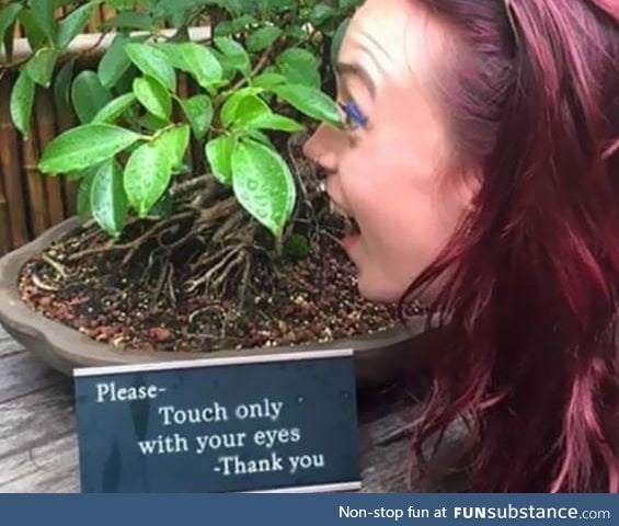 Please teach only with your eyes