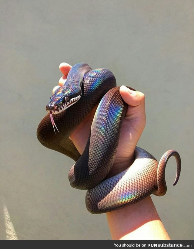 Pretty nope rope!