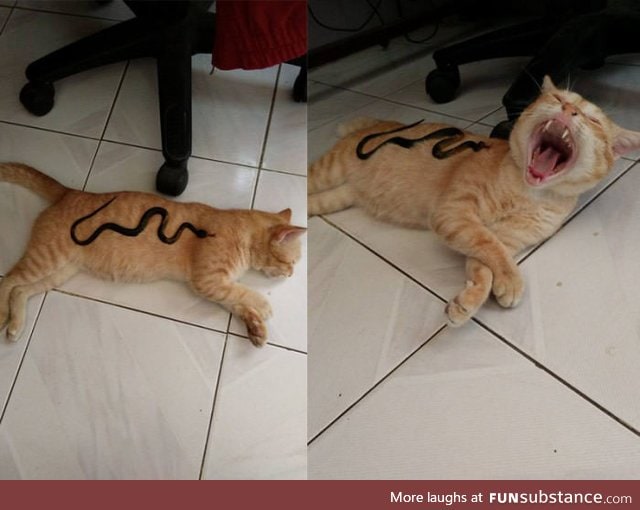 Help meeeee~~!!!! Snakeeeee