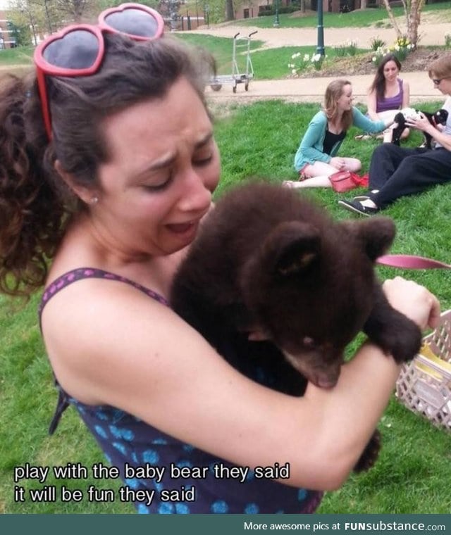 Play with the baby bear, they said